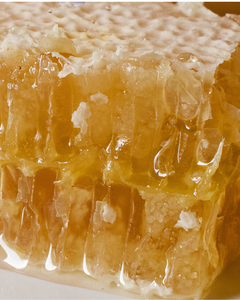 HIGH-QUALITY NATURAL HONEYCOMB FOR EXPORT / PREMIUM QUALITY - Product Image 6