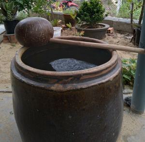 100% CÁSCARA DE COCO NATURAL/BIODEGRADABLE Y SOSTENIBLE/CERO RESIDUOS - Product Image 5