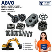 216-0038 Nuevos Kits de Reparación de Bombas Hidráulicas Rexroth A8VO28 A8VO55 A8VO80 A8VO107 A8VO120 A8VO140 A8VO160 A8VO200 para Venta Minorista