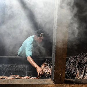 Filete de Pangasius Ahumado Premium 100% Natural al por Mayor, Vietnam, Rebanadas de Pescado Frito con Alto Contenido de Proteínas, Refrigerios Saludables, +12 Meses - Product Image 2