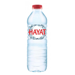 Eau minérale naturelle en bouteille Hayat Premium Wasser 24x500ml de qualité supérieure, prix de gros, eau potable provenant d'un fournisseur direct - Product Image 1