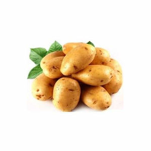 Speciale per patatine giallo cuore 100g-200g patate sfuse olandese fresco per il commercio all'ingrosso nuovo raccolto patate fresche pronte - Product Image 5