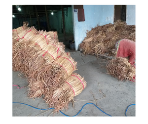 Artisanat en jacinthe d'eau brute du Vietnam, vente en gros de matériaux de jacinthe d'eau séchée brute avec de bonnes offres en vrac, prêt à être expédié - Product Image 1