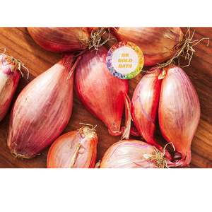 Chalote Rojo Seco de Vietnam para Restaurantes, Servicios de Alimentos y Compras al por Mayor - Product Image 1