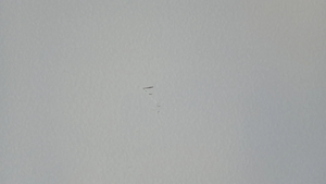 แผงประตูภายนอก Bosch 00770775 พร้อมฉนวนกันความร้อน - Product Image 3