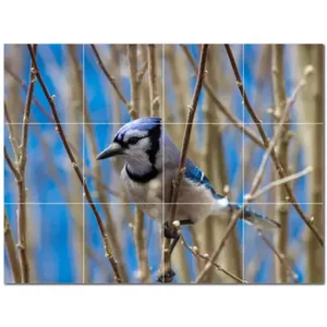 Carreaux de céramique muraux en forme d'oiseau de 48 "x 36" PT500132 Lot de 12 carreaux 12x12 - Product Image 1