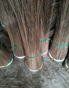 Bâton de balai de feuille de noix de coco écologique idéal pour jardin domestique et usage industriel - Product Image 1