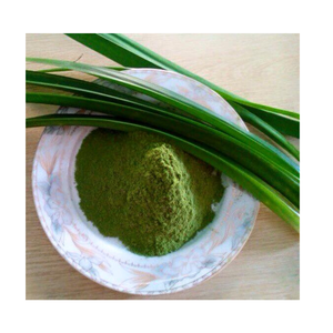 100% Pure <b>Organic</b> Cheapest <b>Pandan</b> Leaf <b>Extract</b> Powder Bulk Price From Viet Nam - Product Image 4