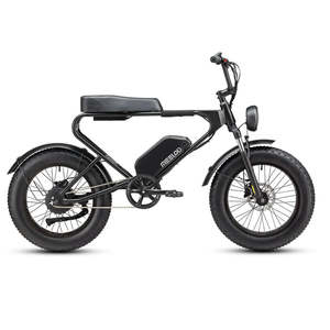 Bicicleta Eléctrica Estilo Ciclomotor de Nivel Básico MEELOD DK200 - Product Image 1