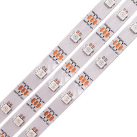 Tira de Luces LED RGB Direccionables de 12V/24V, WS2812B WS2811, Inteligentes y Programables, 144 LED, IP68, Impermeables, para Paisajes y Escenarios