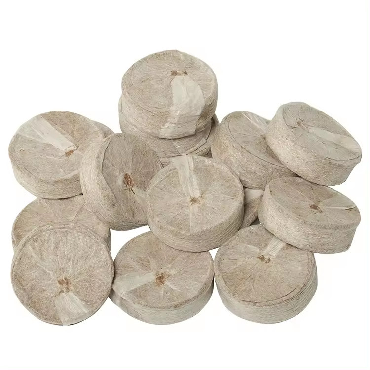 New Collection Best Selling Item From