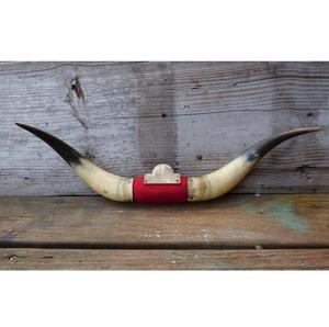 Plaque murale vintage en corne de bœuf écologique fabriquée à la main en Inde avec bordure argentée, paire décorative pour montage mural à domicile - Product Image 5