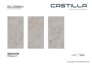 Carreaux de sol en porcelaine émaillée modernes européens 600X1200MM DACCOTA PEANUT pour murs intérieurs, résistants à l'usure, antibactériens - Product Image 2