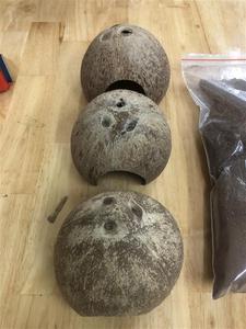 กรงนกทรงเปลือกหอยมะพร้าวใช้ในฤดูร้อนสำหรับซ่อนสัตว์เล็กราคาดีที่สุดจากเวียดนาม - Product Image 5