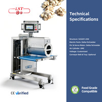 LST Nieuwe Multifunctionele Chocolade Cluster Depositor Machine voor het maken van fruit, noten & biscuits met hoge prestaties