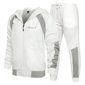 Venta caliente de alta calidad de los hombres de ropa informal de manga larga de color sólido chándal para adultos con el logotipo impreso para el invierno - Product Image 1