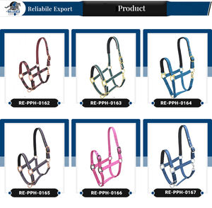 Sillín inglés de alta calidad, cuero, nailon, Halter, estilo occidental, equitación, nueva colección del fabricante de 2017 - Product Image 5