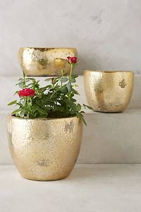 กระถางต้นไม้โลหะตกแต่งคุณภาพพรีเมียม ดีไซน์ลายตอก เหมาะสำหรับตกแต่งพื้นที่สำนักงานด้วยต้นไม้และพืชสีเขียวในร่ม - Product Image 2