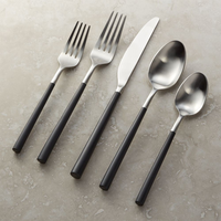 Ensemble de couverts en acier inoxydable avec poignée en résine, design moderne Fabricant et exportateur Ensemble de couverts en métal au design nouveau