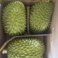 Vietnam Verse Durian Type Monthong Durian Ri6 Durian Premium Kwaliteit Beste Prijs 84931442377