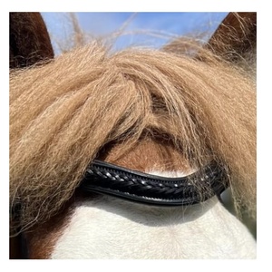 Funda Nasal para Caballo - Diseño Profesional, Color y Tamaño Personalizables, Cuero de Alta Calidad - Product Image 3