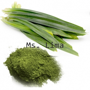 Poudre de Pandanus Amaryllifolius de haute pureté, ingrédient botanique en vrac pour l'exportation mondiale/ Mme Lima - Product Image 6