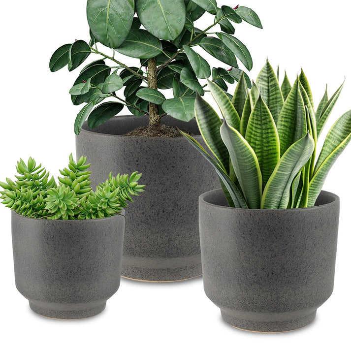 สีเทาเข้ม