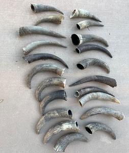 Cuernos de Búfalo Naturales y Puntas de Cuerno de Animales Crudos de Tamaño Personalizado para Exportación, Proveedor de la India - Product Image 1