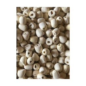 Vente en gros de graines de lotus vietnamiennes, coeurs de lotus séchés de qualité supérieure parfaits pour le thé, support de sommeil facile et exportation dans le monde entier - Product Image 2