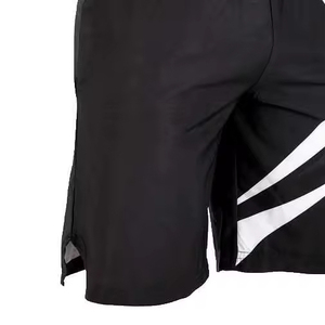 Haute qualité grappin entraînement entraînement pantalons courts vêtements de combat Arts martiaux hommes boxe écologique MMA Shorts - Product Image 2
