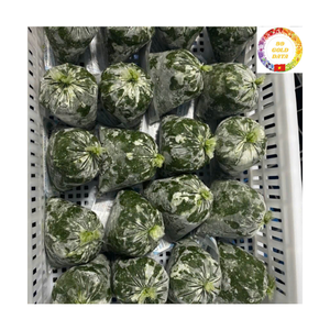 ใบมันสำปะหลังแช่แข็งคุณภาพสูง บดละเอียด นำเข้าจากเวียดนาม จำหน่ายจำนวนมากสำหรับร้านอาหาร - Product Image 4