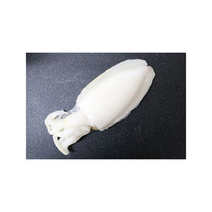 Vente en gros de seiches de qualité supérieure Fourniture en vrac de produits de la mer congelés de haute qualité - Product Image 1