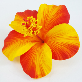 08