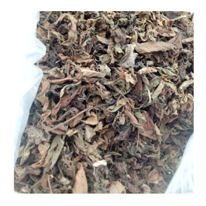 Feuilles de gelée d'herbe noire pure du fournisseur en gros du Vietnam, prix concurrentiel - Product Image 4