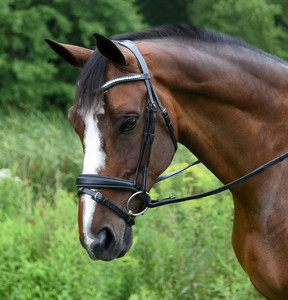 BRIDA SNAFFLE - Product Image 5