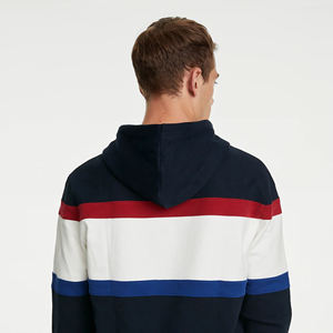 Sweat-shirt à capuche pour homme, 100% coton, coupe ajustée, manches longues, couleur unie, mode décontractée, poche, broderie, thermique d'hiver - Product Image 4