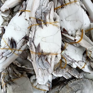 Vente directe usine – Diverses spécialités <span class=keywords><strong>de</strong></span> fruits <span class=keywords><strong>de</strong></span> mer : <span class=keywords><strong>Crabe</strong></span> <span class=keywords><strong>de</strong></span> mer congelé (Portunus Trituberculatus) – Processus BQF – Viande <span class=keywords><strong>de</strong></span> <span class=keywords><strong>crabe</strong></span> mâle entière ou coupée en deux - Product Image 2