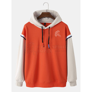 Haute qualité 100% coton hommes pull à capuche Street Wear vêtements de mode avec motif solide prix de gros pour la saison d'hiver - Product Image 1