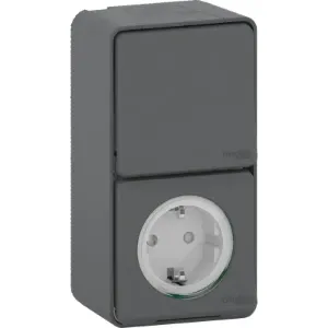 Presa a Muro Schneider Electric MUR36024 con Interruttore Combinato - Product Image 1