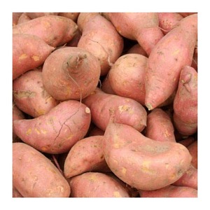 มันเทศสดออร์แกนิก - Product Image 4