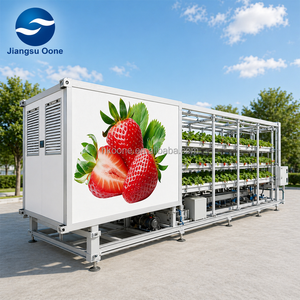 High Yield Vertical Strawberry Growing Container Farm with Smart IOT Environment Monitoring and LED Grow Lights for Commercial - Product Image 3