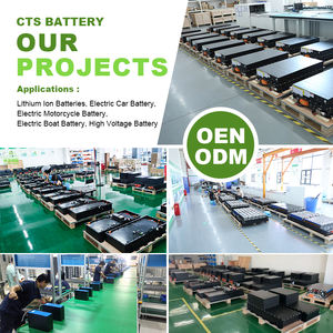 Solusi Propulsi Kendaraan Listrik Tegangan Tinggi CTS Termasuk Baterai, Motor, dan Pengontrol - Product Image 5