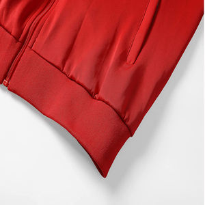 Chándal de manga larga para hombre, ropa deportiva masculina de dos piezas con cremallera y logotipo personalizado, jersey de chándal de estilo Casual, disponible en varios colores - Product Image 2