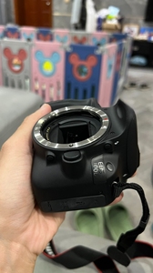 กล้อง DSLR มือสองคุณภาพสูง 5DS 50.6MP ฟูลเฟรม เซ็นเซอร์ CMOS ราคาประหยัด ถ่ายวิดีโอ Full HD หน้าจอ 2"-3" แบตเตอรี่ลิเธียม การ์ด SD วัสดุ ABS - Product Image 3