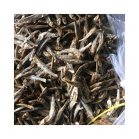 Petite taille frais 100% fruits de mer délicieux en gros nouveau poisson d'anchois gris râpé séché du Vietnam Elysia 0084789310321