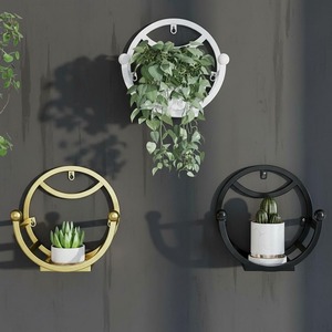 Jardinière murale ronde moderne chic pour la verdure d'intérieur, décoration élégante pour la maison, balcon, bureau et présentoir multi-usages à l'intérieur - Product Image 2
