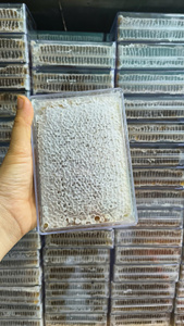 Miel de panal de Vietnam, producto de exportación con estructura de panal sólido y calidad constante para compradores globales - Product Image 4