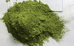 100% poudre de feuilles de pandan de qualité supérieure organique 1 kilogramme taille d'exportation sac emballé sous vide - Product Image 4