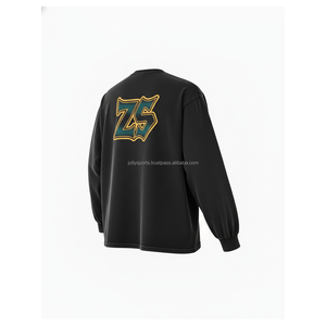 Premium 360 GSM coton polaire sweat doux tissu brossé Logo personnalisé broderie à manches longues Streetwear basics sweat - Product Image 4