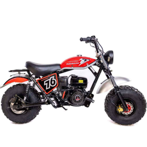 Trailmaster พายุเฮอริเคน200X จักรยานมินิพร้อมส่ง - Product Image 4